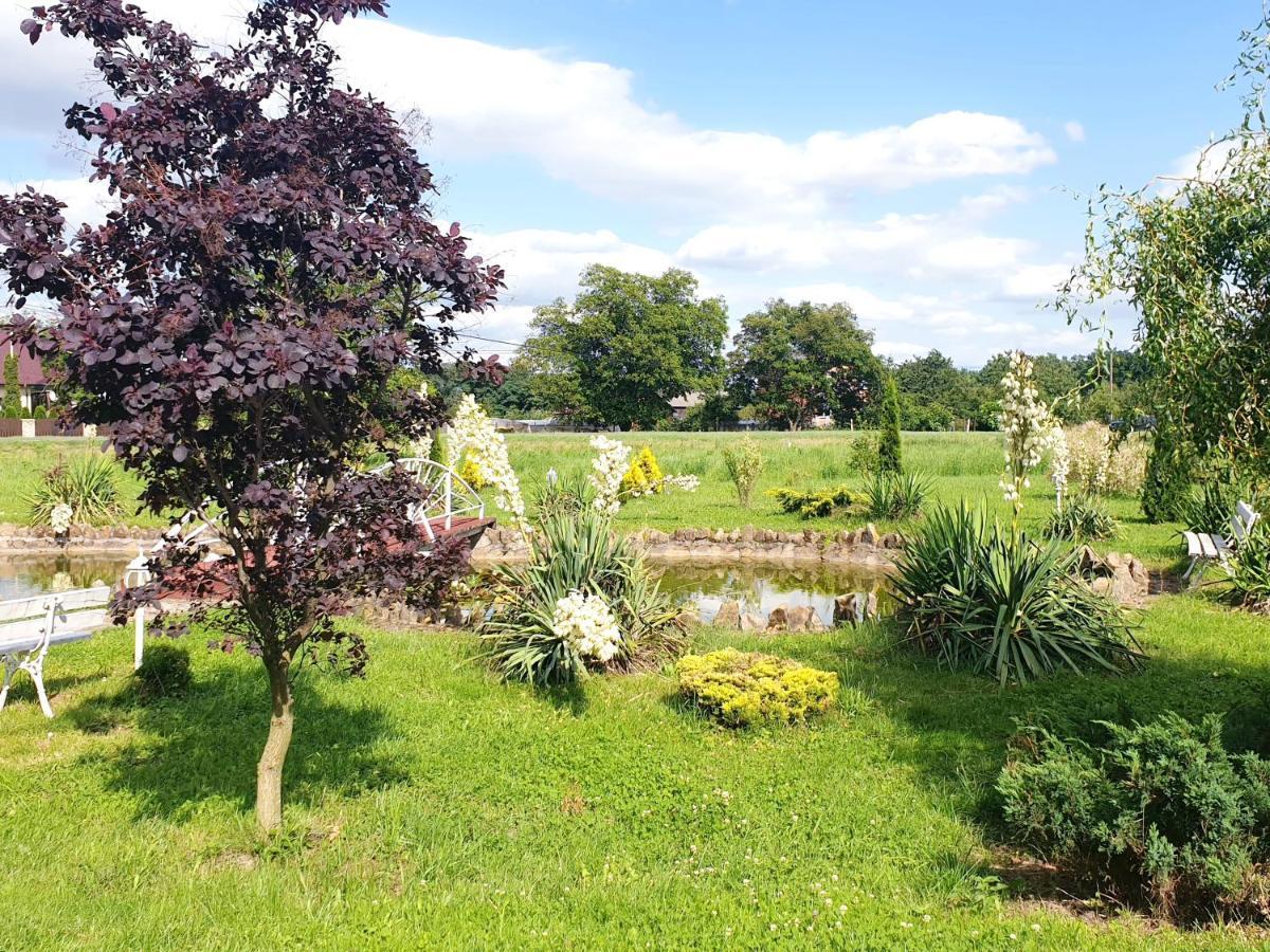 Willa Park Ostrowiec Swietokrzyski Luaran gambar