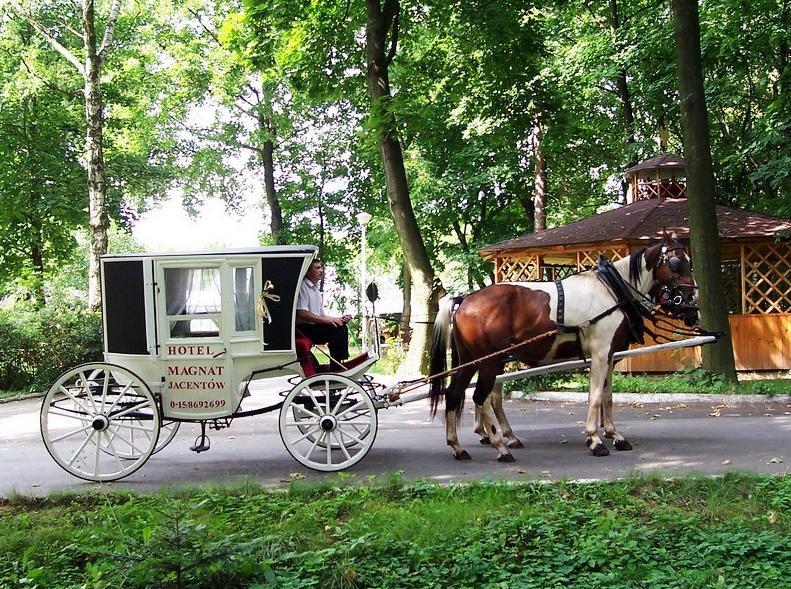 Willa Park Ostrowiec Swietokrzyski Luaran gambar